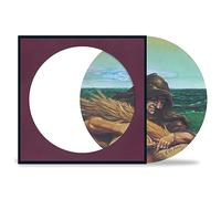 The Grateful Dead Wake of the Flood (Vinyl LP)