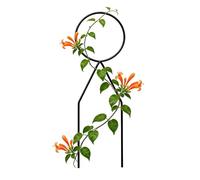 Graticcio Da Giardino Picchetto in Metallo da 34 cm Resistente alle | Supporto da Giardino Rampicanti per Interno Per Edera Rampante, Clematide E Piante Da Appartamento Da Esterno, Giar
