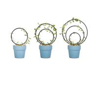 Graticcio per Piante in Vaso - Supporto Metallico Per Decorazione Artistica,Supporto Piante Da Giardino | Per La Famiglia E I Principianti, Giardinaggio Domestico, Abbinamento Interni, Casa, Matrimoni