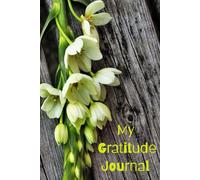 Gratitude Journal: Focus On Positive Aspects of Your Life