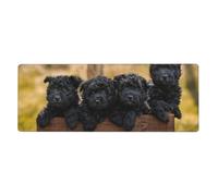 GRatka Cuccioli di famiglia Affenpinscher Cani neri Scimmia,Tappetino per mouse grande, da scrivania, per tastiera e computer, con base in gomma antiscivolo, 30 x 80 cm