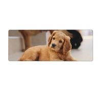 GRatka Cucciolo di Cocker Spaniel, cani di piccola taglia, animali domestici,Tappetino per mouse grande, da scrivania, per tastiera e computer, con base in gomma antiscivolo, 30 x 80 cm