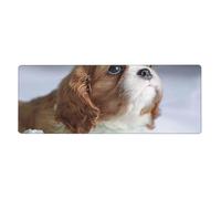 GRatka Faccia di Cavalier King Charles Spaniel,Tappetino per mouse grande, da scrivania, per tastiera e computer, con base in gomma antiscivolo, 30 x 80 cm