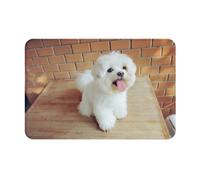 GRatka Zerbino da Esterno, Zerbini Antiscivolo per Ingresso Interno, Tappeto per Patio Esterno 40x60 cm, Cane Maltese