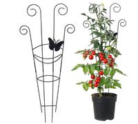 Grattugia per piante rampicanti per esterni, in metallo, con funzione di supporto per piante, per esterni, terrazza, giardino, matrimonio, serra, vigneto, balcone