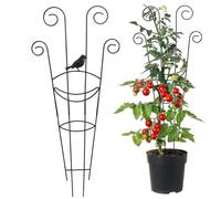 Grattugia per piante rampicanti per esterni, struttura di supporto in metallo per piante, Dégivrant Instantané Pour Étang, per interni, terrazza, giardino, matrimonio, serra, vigneto, balcone