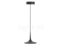 Grau Falling Leaf Lampada a sospensione LED, nero - 200 cm