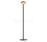 Grau Parrot Batteria lampada da terra LED, ottone nero