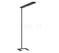 Grau Xt-a Plus Lampada da terra LED, nero/nero - 98 cm