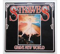 Grave New World [Vinyl LP]