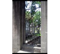 Graveyard Love: Timely confrontation