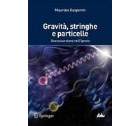 Gravità, stringhe e particelle. Una escursione nell'ignoto