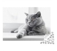 Gray Cat Resting-British Shorthair Style Jigsaw Puzzle for Adults Grey Cat Lying on White Surface Fun Present & Activity for Home Wall Decor 52x38cm/1000pcs