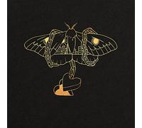 David Gray Gold in a Brass Age (Vinyl LP) 12" Album