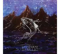 David Gray Skellig (CD) Album