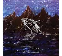 Gray David - Skellig