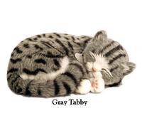 GRAY TABBY - Il cucciolo che respira - PERFECT PETZZZ