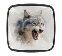 Gray Wolf - Confezione da 4 pomelli quadrati neri, per armadietti da cucina, a foro singolo, per cassetti, armadi, credenze, porte