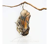 Grayceon – Mothers Weavers Vultures