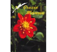 Grazie mamma