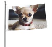 Graziosa bandiera chihuahua da 0,8 x 0,9 m, stampa su entrambi i lati, bandiere da giardino, bandiera da cortile per esterni, bandiere per vacanze, banner regalo con occhielli sfondo fotografico per
