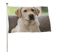 Graziosa bandiera con cane labrador, 119,4 x 177,8 cm, stampa su entrambi i lati, bandiera decorativa da giardino, non sbiadisce, con occhielli in ottone, sfondo fotografico da appendere, per interni