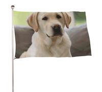 Graziosa bandiera con cane labrador, 89 x 150 cm, stampa su entrambi i lati, bandiera decorativa da giardino, non sbiadisce, con occhielli in ottone, sfondo fotografico da appendere, per interni ed