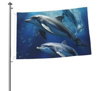 Graziosa bandiera con delfini da 0,8 x 0,9 m, stampa su entrambi i lati, bandiere da giardino, bandiera da cortile per esterni, bandiere per vacanze, banner regalo con occhielli sfondo fotografico per