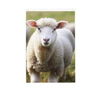 Graziosa bandiera da giardino con agnello di pecora, 0,9 x 0,9 m, double face, non sbiadisce, per casa, cortile, cortile, cortile, prato, decorazione esterna