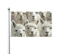 Graziosa bandiera da giardino con stampa di lama, 0,9 x 1,5 m