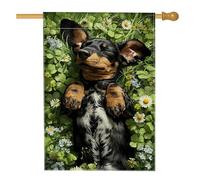 Graziosa bandiera da giardino per cani, colore nero e marrone, striscione floreale primaverile estivo per la casa, decorazione per prato in iuta su entrambi i lati, per gli amanti degli animali, 71 x