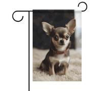 Graziosa bandiera estiva da giardino con chihuahua su entrambi i lati, 30,5 x 45,7 cm, bandiere da giardino primaverili e sole, decorazione per esterni