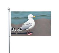 Graziosa bandiera stampata con gabbiano (91,4 x 152,4 cm) - ideale per giardino, cortile e decorazioni natalizie