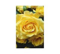 Graziosa copertura per piastra da parete con rosa gialla, copertura per interruttore duplex a 1 uscita, presa elettrica, piastra da parete, per cucina, camera da letto, decorazione
