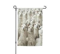 Graziosa stampa di lama, 30,5 x 45,7 cm, per portico, per tutte le stagioni, per esterni, cortile, decorazione per cortile