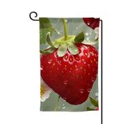 Graziose bandiere da giardino con fragole verticali su entrambi i lati, 30,5 x 45,7 cm, primaverile, estate, stagionale, cortile, decorazione da appendere, taglia unica