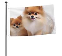 Graziose bandiere pomeraniane per esterni, 0,6 x 0,9 m, bandiera stagionale da giardino con occhielli bandiera esterna per decorazioni per la casa sfondo fotografico