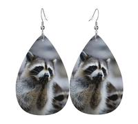 Graziosi orecchini a forma di procione da donna, orecchini pendenti a forma di stella, gioielli chic per celebrazioni, One Size, Pelle