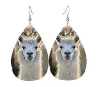 Graziosi orecchini pendenti a goccia con stampa lama, eleganti gioielli da donna, gioielli alla moda per San Valentino e feste