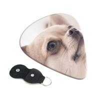 Graziosi plettri per chitarra chihuahua, 6 plettri per chitarra con stampa fronte/retro, adatti per chitarre acustiche, elettriche e bassi, tra cui 0,46 mm, 0,71 mm, 0,96 mm