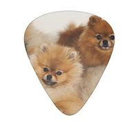 Graziosi plettri per chitarra Pomeranian, 12 pezzi, per chitarra classica triangolare, include calibri sottili, medi e pesanti, 3 misure, per basso, chitarra acustica, ukulele, con scatola organizer