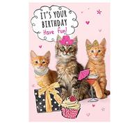Grazioso biglietto di auguri di compleanno - 17,8 x 12,7 cm - Piccadilly Greetings