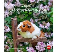 Grazioso calendario 2025 con porcellini d'India Monika Wegler. Piccolo calendario con ritratti di roditori puliti. Ogni mese una nuova cartolina dal calendario fotografico