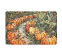 Grazioso Sentiero Del Giardino Con Zucche Zerbini Per Interni Antiscivolo Zerbini Di Benvenuto Retro Tappeto Bagno Per Porta Casa Interni 40 X 60Cm