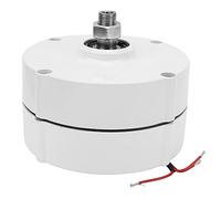 Grcfumo Generatore di magneti Permanente, generatore di magneti Permanente, generatore a Magnete Permanente alternatore AC AC 3 Fase Elettrico Avan -400W (Senza Un raddrizzatore 48v)