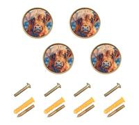Grckit Pomelli rotondi per cassetti con meduse misteriose, 32 mm, maniglie per armadietti da cucina, cassettiere, cassetti, confezione da 4