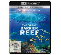 Great Barrier Reef 4K - Ultimate Freedive (4K Ultra HD) [Blu-ray] [Edizione: Germania]