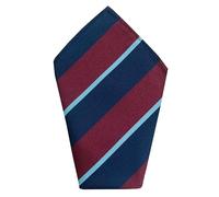 Great British Tie Club RAF - Fazzoletto da uomo Royal Air Force, 30,5 cm, Blu Navy, Borgogna, Bianco, Taglia unica