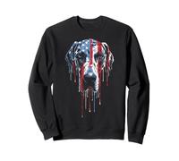 Great Dane American Flag USA Drip Graffiti Lover Patriottismo Felpa
