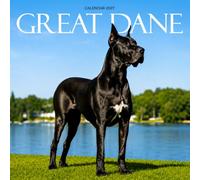 Great Dane Calendar 2027: Gentle Giants and Home Life